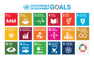 Kontribusi UNIMMA untuk SDGs dari Database Scopus: Update Juli 2025